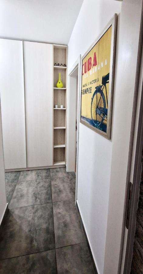 Studio 7 Nowy Sad Zewnętrze zdjęcie