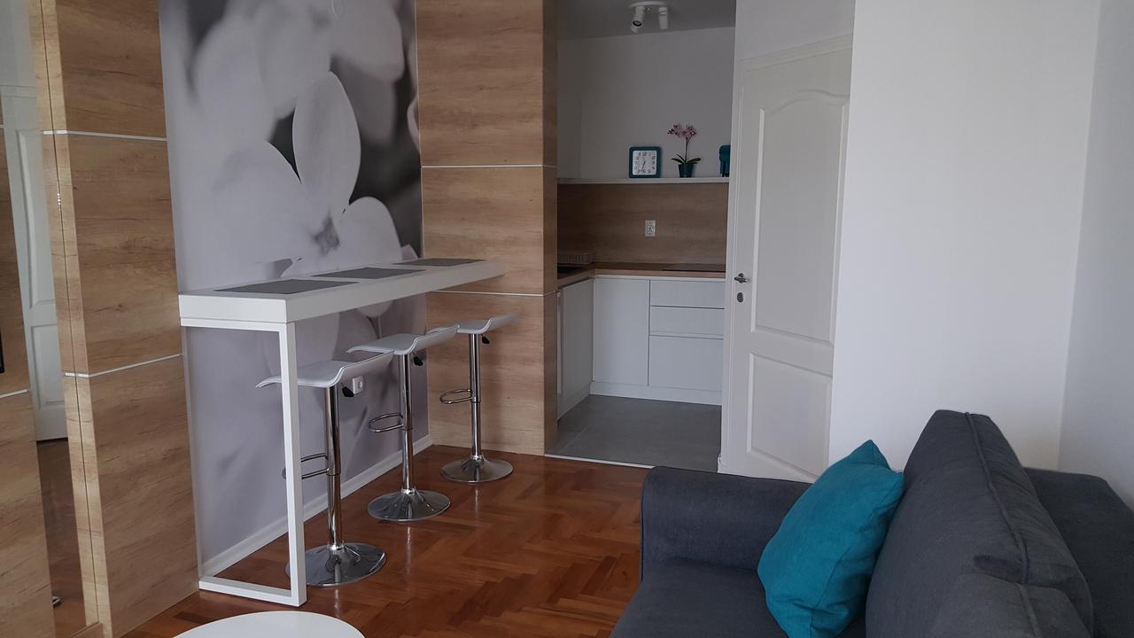 Studio 7 Nowy Sad Zewnętrze zdjęcie