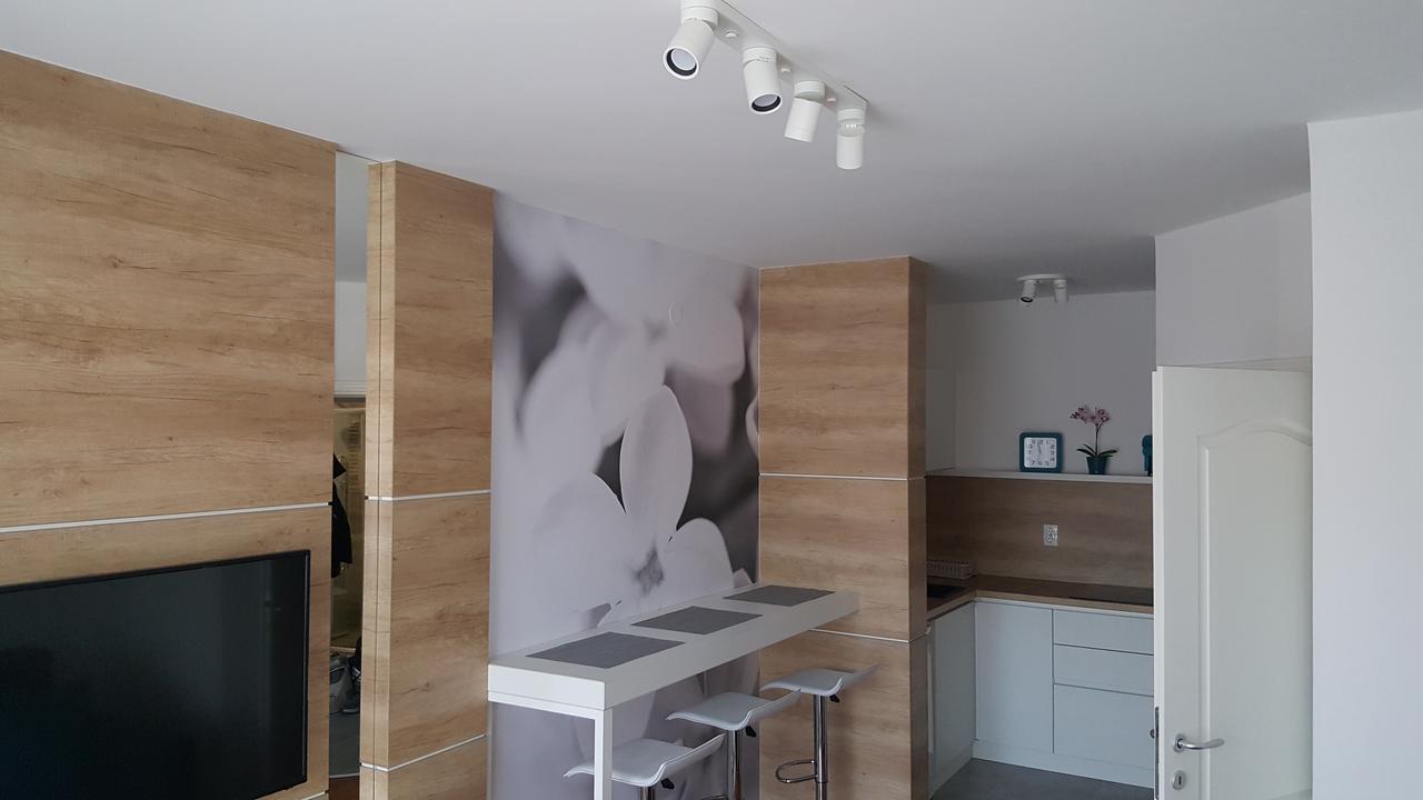 Studio 7 Nowy Sad Zewnętrze zdjęcie
